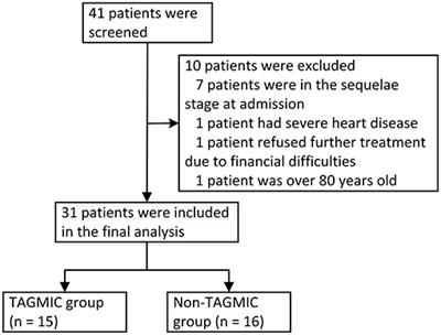 The Effect of a Combined Ganciclovir, Methylprednisolone, and Immunoglobulin Regimen on Survival and Functional Outcomes in Patients With Japanese Encephalitis